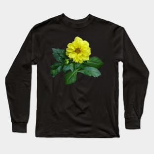 Little Yellow Dahlia Long Sleeve T-Shirt